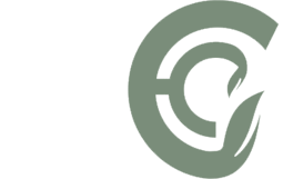 logo_t